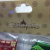 Hong Kong Disneyland Disney Explorers Lodge Official Magnets Set of 4