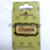 Hong Kong Disneyland Disney Explorers Lodge Souvenir Pin